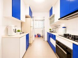 Blk 217A Boon Lay View (Jurong West), HDB 4 Rooms #568128911